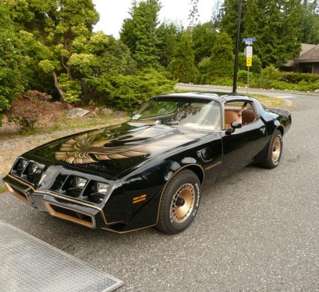 1980 Pontiac Turbo Trans Am